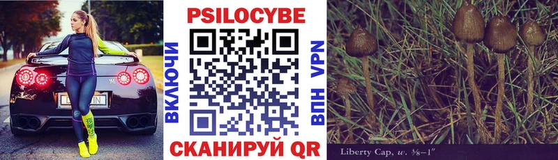 Галлюциногенные грибы Magic Shrooms Сенгилей
