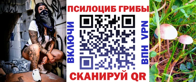 Псилоцибиновые грибы ЛСД  Сенгилей 